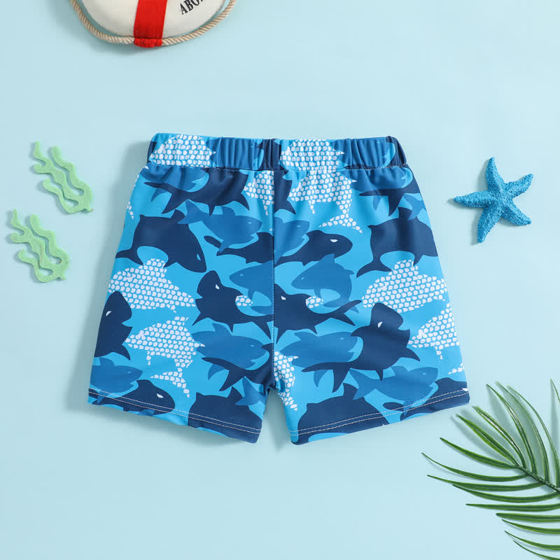 Baby Boy Shark Blue Swimwear