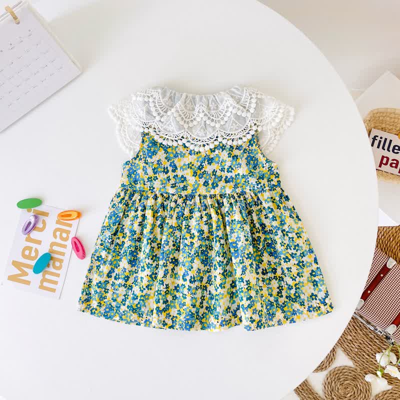 Baby Lovely Lace Lapels Flower Dress