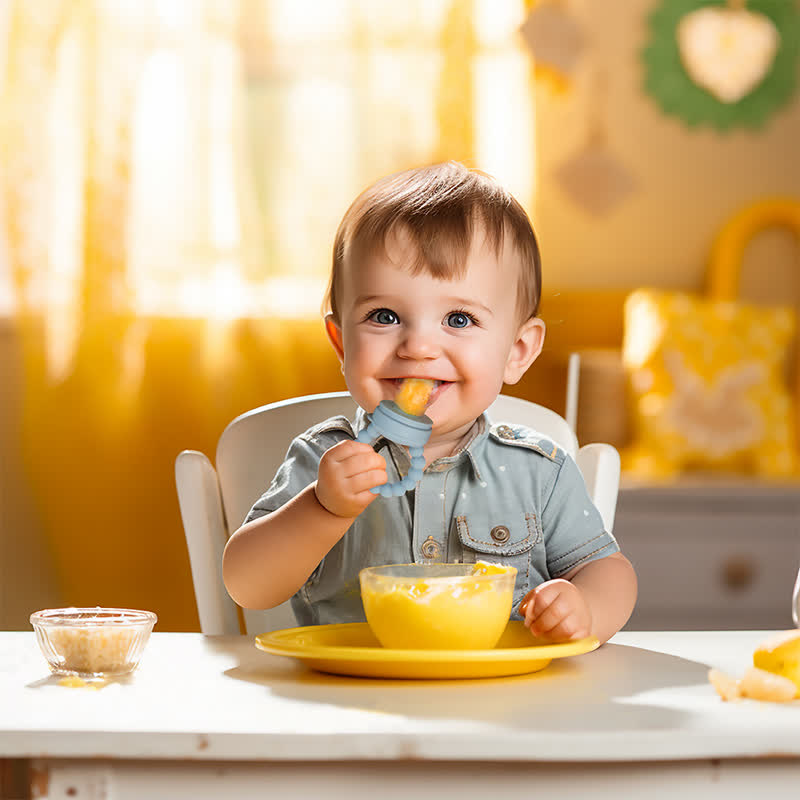 Baby Pacifier Fruit Feeder