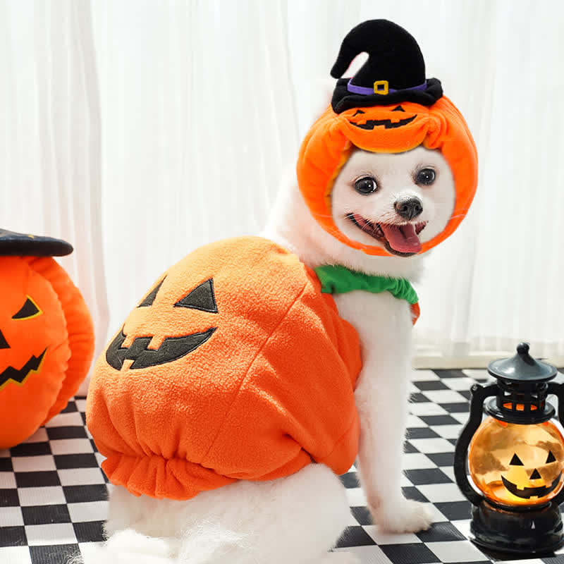 Halloween Pumpkin Pet Clothes