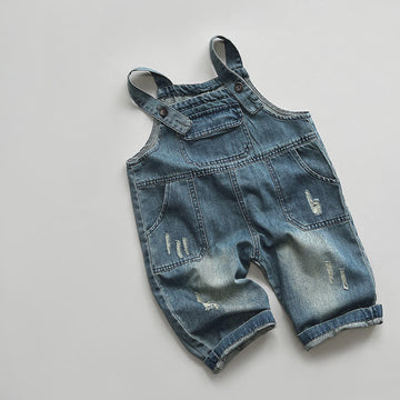 Toddler Vintage Blue Denim Overalls