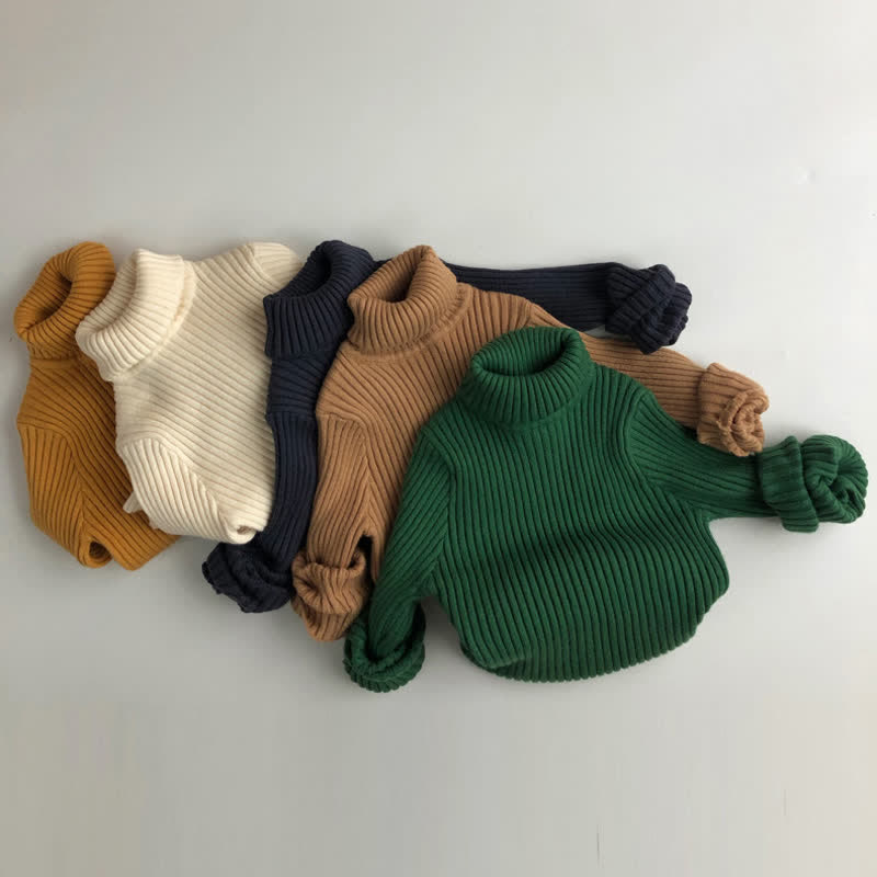 Toddler Boy Solid Color Turtleneck Sweater