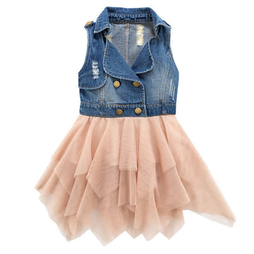 Toddler Girls Denim Splice Dress