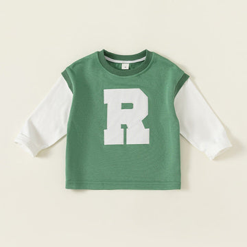 Toddler Boy Contrast Sleeves Sweatshirt