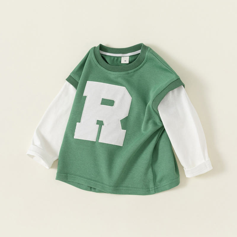 Toddler Boy Contrast Sleeves Sweatshirt