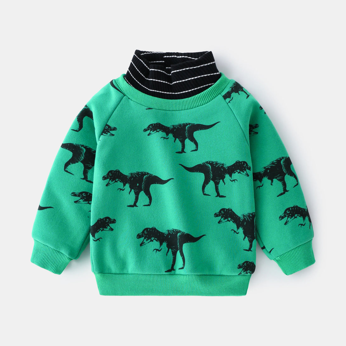 Toddler Boy Dino Turtleneck Fleece Lined Sweatshirt