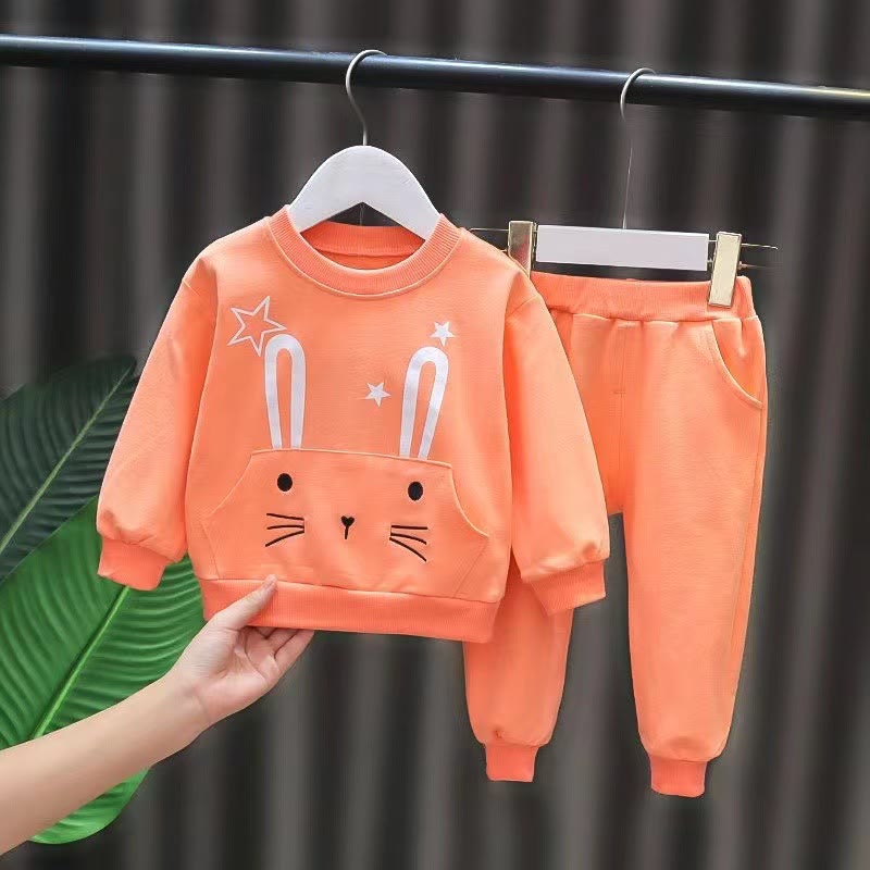 Toddler Girl Rabbit 2 Pieces Set